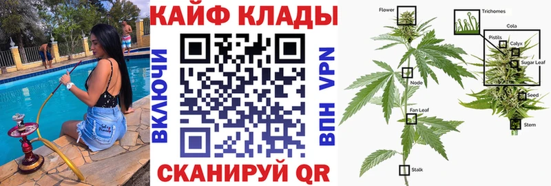 Купить наркотики Рудня Конопля COCAIN A-PVP Меф мяу мяу ГАШИШ