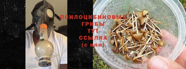 мет Белокуриха