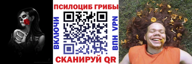 закладка  Рудня  kraken зеркало  Псилоцибиновые грибы Psilocybine cubensis 